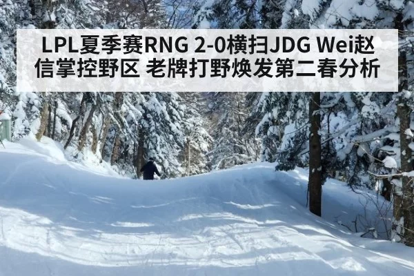 LPL夏季赛RNG 2-0横扫JDG Wei赵信掌控野区 老牌打野焕发第二春分析 - jiuyou