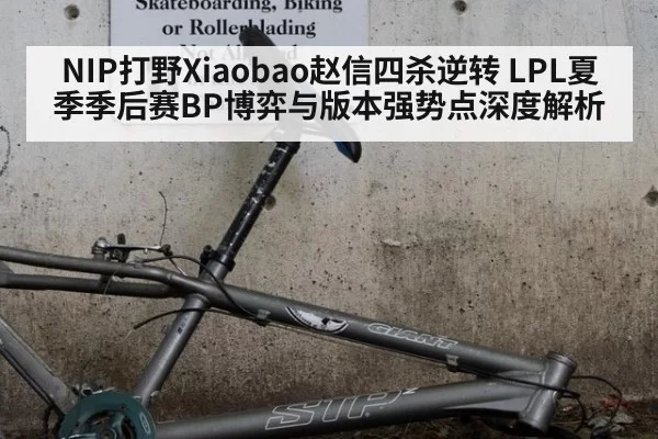 NIP打野Xiaobao赵信四杀逆转 LPL夏季季后赛BP博弈与版本强势点深度解析 | jiuyou