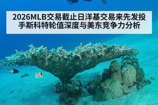 2026MLB交易截止日洋基交易来先发投手斯科特轮值深度与美东竞争力分析 - jiuyou